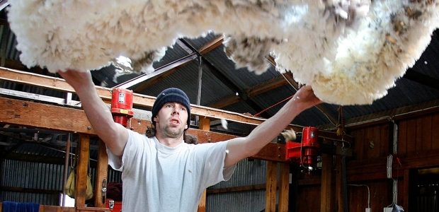 Kiwi firm puts new spin on wool