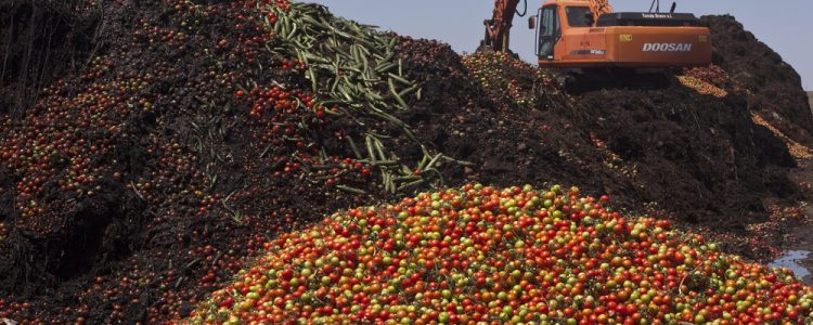 Startup Nipping Trillion Dollar Food Waste Problem in the Bud